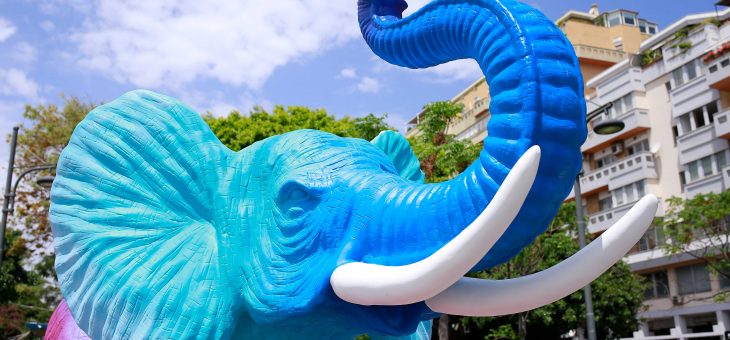 “Liotru d’autore by gloTM”: Ligama colora e anima il quinto elefante  in Piazza Nettuno, sul lungomare catanese